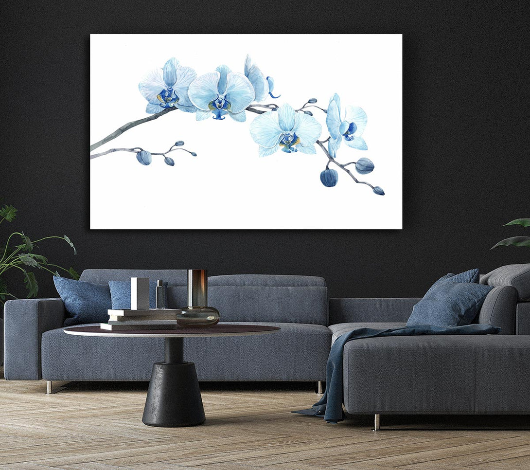  A Canvas Print of The Blue Orchid Curve Canvas Art