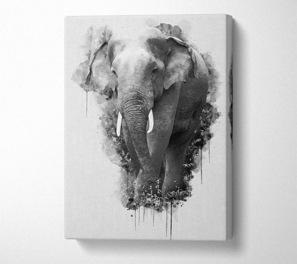 Elefantenspritzer Aquarell