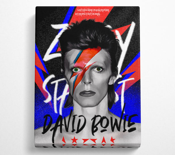 A Canvas Print of David Bowie Ziggy Stardust Canvas Art