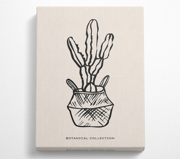  A Canvas Print of Cactus In A Pot Canvas Art