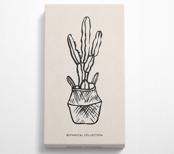 Cactus In A Pot