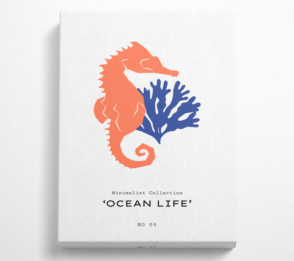  A Canvas Print of Ocean Life Canvas Wall Art