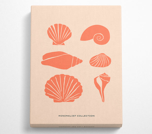  A Canvas Print of A Shell Collection Canvas Print
