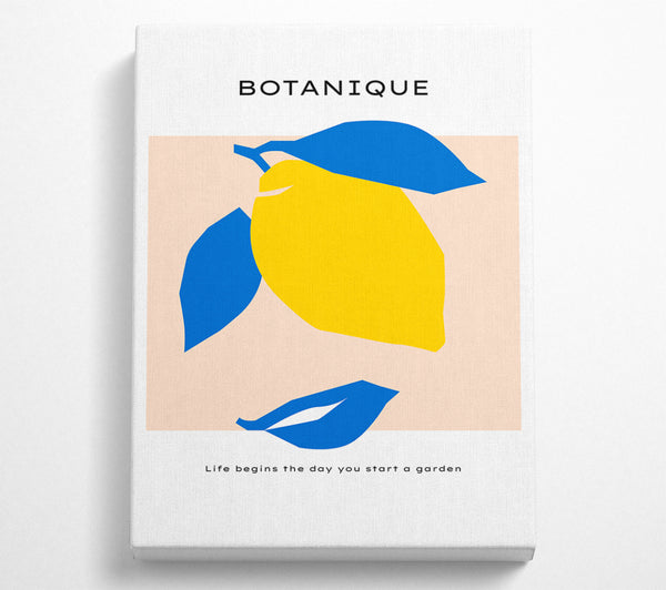  A Canvas Print of Bohemian Lemon Canvas Art